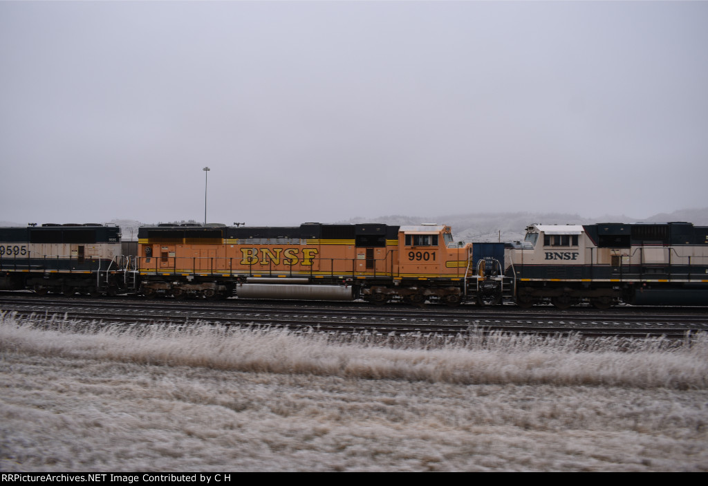 BNSF 9901/9595